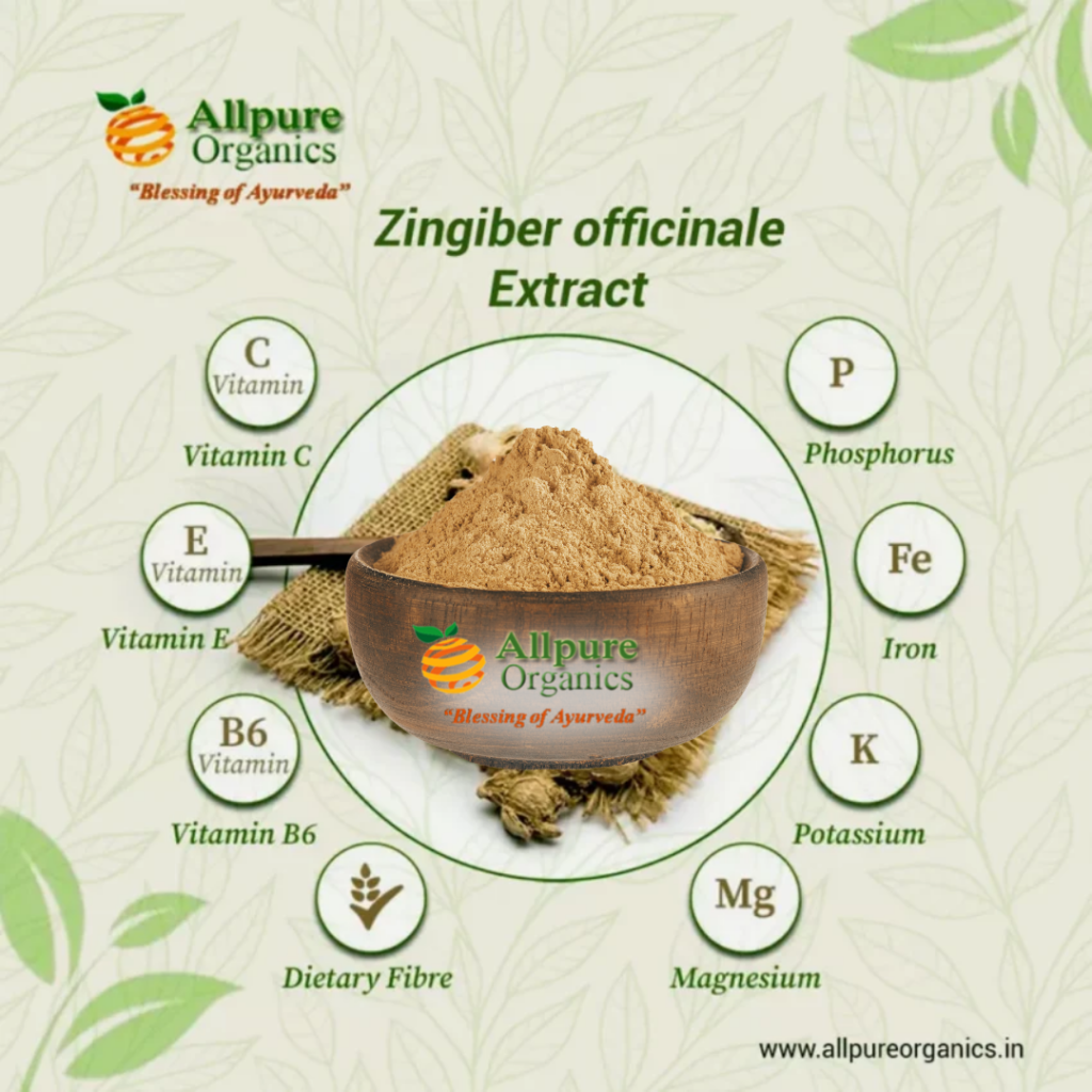 Zingiber Officinale